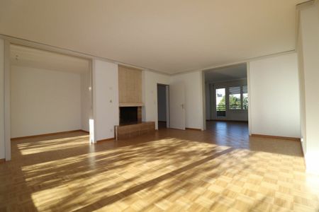 Nähe Schützenmattpark - frisch teilsanierte, grosszügige Dachwohnung mit 2 Terrassen - Foto 4