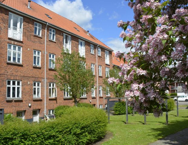 2 værelses – Bjergegade 57, 1. tv – 7000 Fredericia - Photo 1