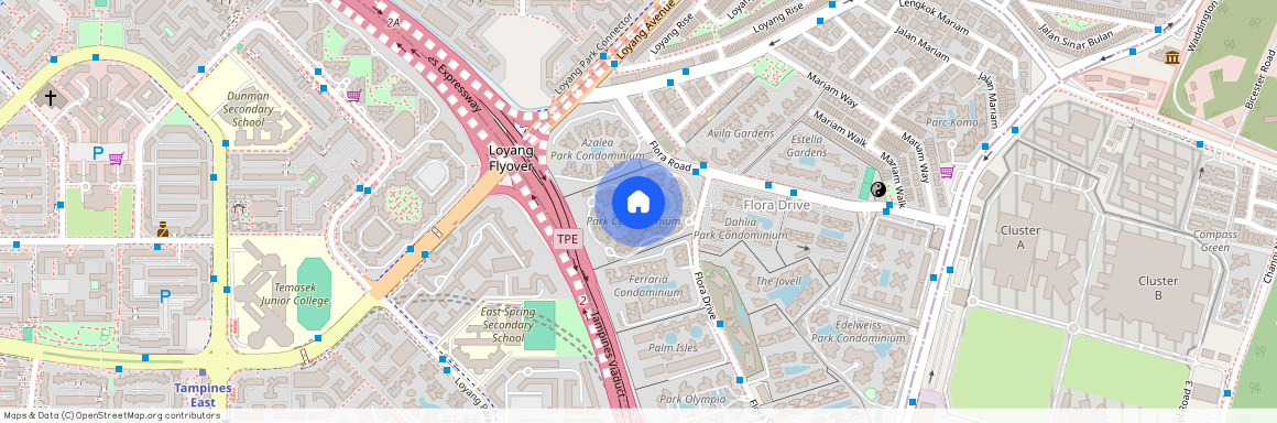 2 Flora Drive (507025), Singapore