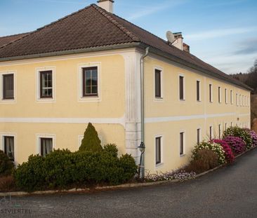 Ruhig gelegene Erdgechossmietwohnung nähe Wieselburg! - Photo 5