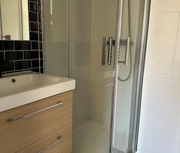Location Appartement 1 pièce 20m² LYON 7ème - Photo 3