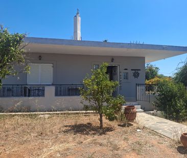 Μονοκατοικία για ενοικίαση Μαλακώντα (Ερέτρια) - Photo 5