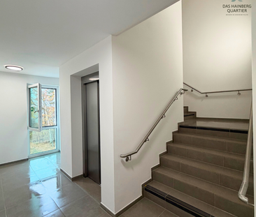 ERSTBEZUG - TERRASSENWOHNUNG im Hainberg Quartier (2-Zimmer) - Photo 6