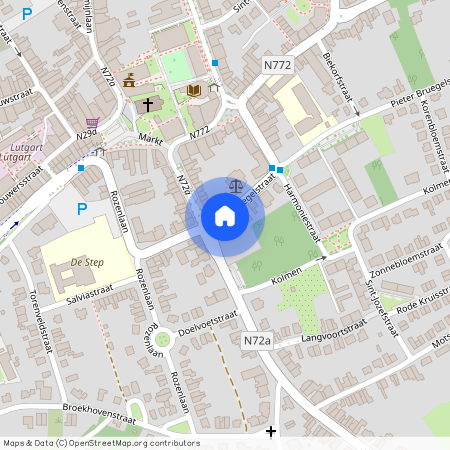 Pieter Bruegelstraat 6 / 1, 3580 Beringen