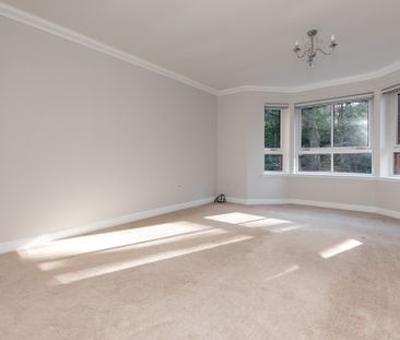 Camphill Avenue - Photo 2