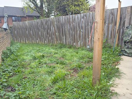 Studio to rent - Photo 3