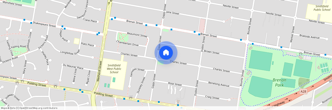 55 Charles Street, SMITHFIELD NSW