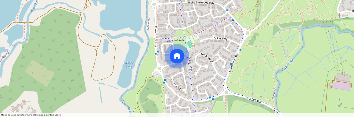 Rimer Close, Norwich, NR5