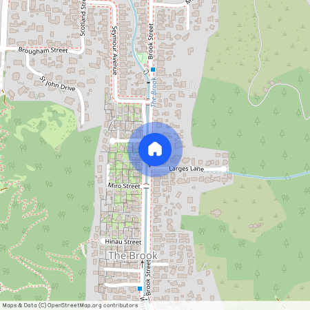 53 Brook Street, The Brook, Nelson