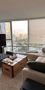 Fully Renovated Spacious Furnished One Bedroom with Stunning View - Photo 4