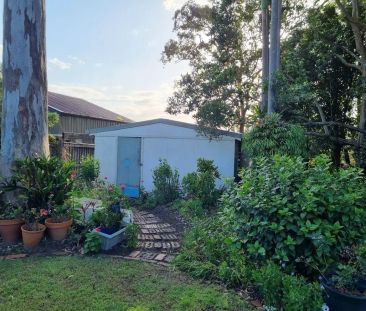 4 Pilny Street, Camira QLD 4300 - Photo 6