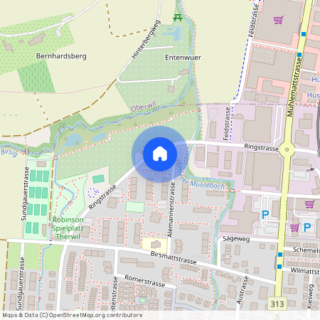 Alemannenstr. 19, 4106 Therwil