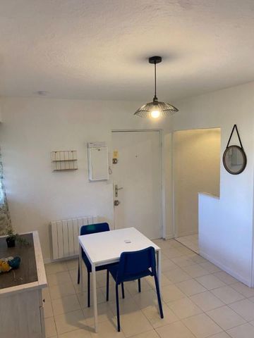 Location Appartement 1 pièce Meublé 22m² VILLENEUVE LOUBET 06270 - Photo 3