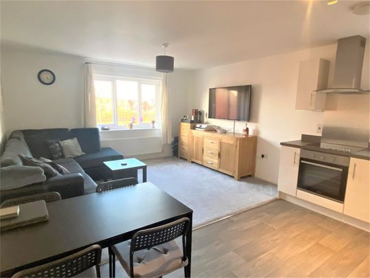 Crabtree Close, Cranbrook, Exeter - Photo 1