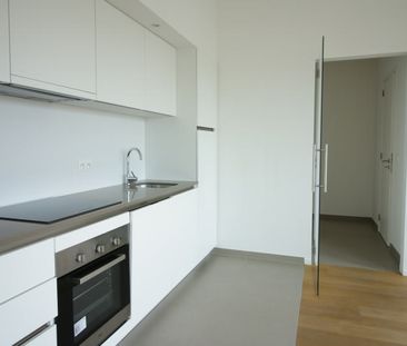 Live with the owner - 1 bedroom apartment - Photo 3
