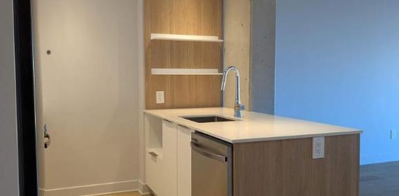 1 CH - 1 SDB - Montreal - $1,635 /mo - Photo 2