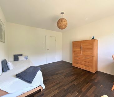 Rent a 2 ½ rooms apartment in Olten - Photo 2