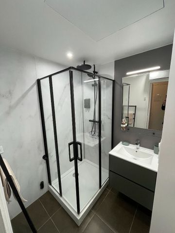 Location Appartement 1 pièce 26m² LILLE 59000 - Photo 5