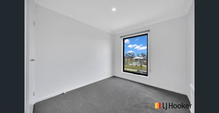 Brand new park facing townhouse - Photo 3