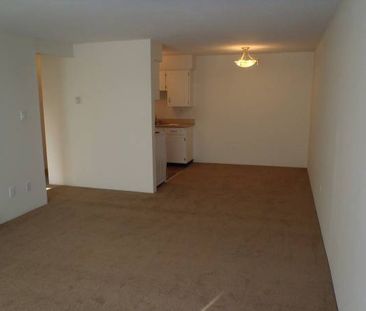 1 Bedroom Suite (Apartment Complex) - Photo 3