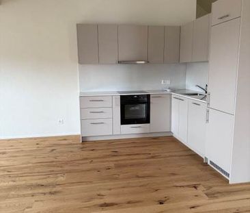 3.5 Zimmer, 85 m² - Foto 2