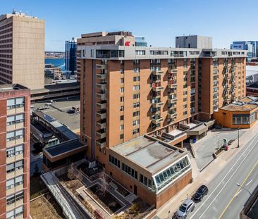Halifax Apartments – The Plaza - 1 Bedroom - Photo 1
