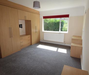 4 bedroom House To Let - Photo 5