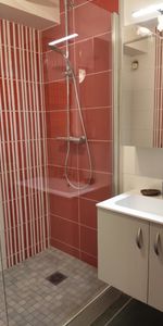 Location Appartement 1 pièce 30m² TOURS 37000 - Photo 3