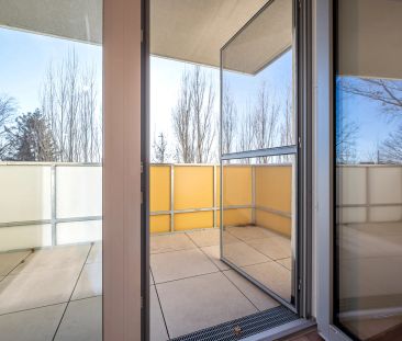 Go2Eisenstadt: erst mieten, dann kaufen! 2 Zimmer + Balkon + KFZ-St... - Photo 1