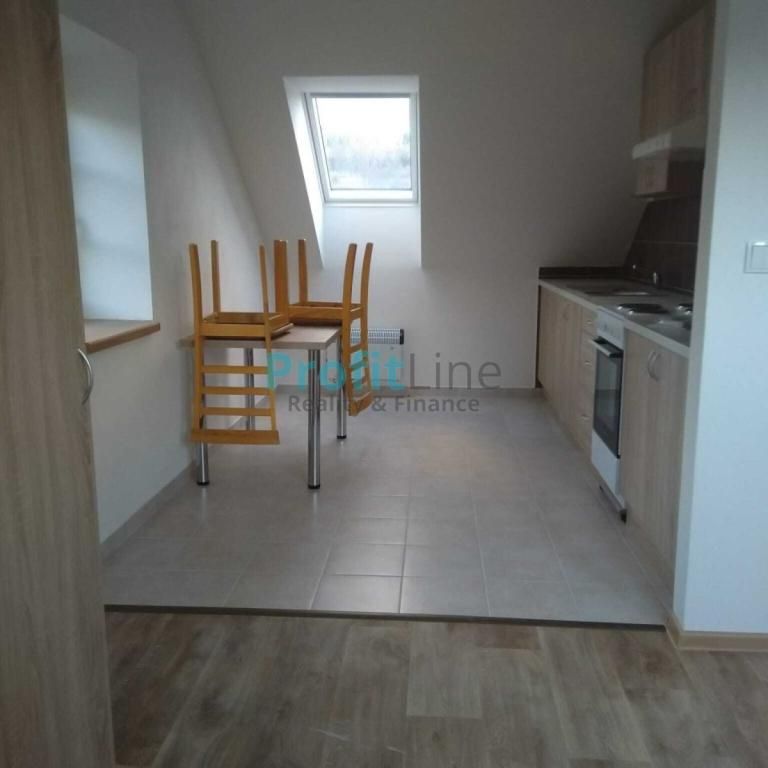 Pronájem bytu 1+kk 53 m2 - Fotografie 1