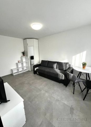 kawalerka do wynajęcia, Centrum, ul.Potulicka - Photo 2