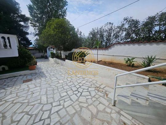 Διαμέρισμα για ενοικίαση Βασιλικό (Ληλάντιο) - Photo 1