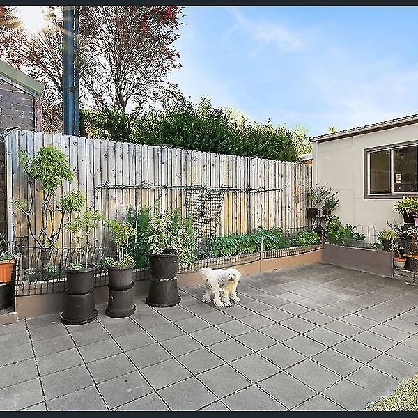 24 Porter Ave, Marrickville, NSW 2204 - Photo 1