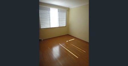 Not your average sized apartment!! - Photo 2