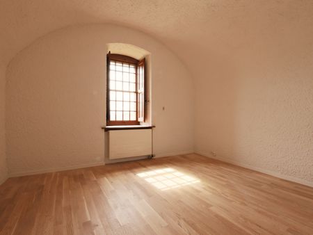 6,5 pièces dans l'aile d'un château à Duillier - Vue imprenable sur le Mont Blanc - Foto 2