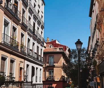 ✨ ESTUDIO EN ALQUILER RECIÉN REFORMADO EN PLENO CHUECA | ASCENSOR |... - Photo 6