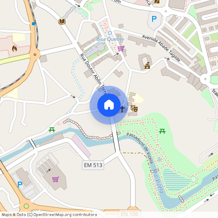 Braga - Vizela - Caldas de Vizela (São Miguel e São João)