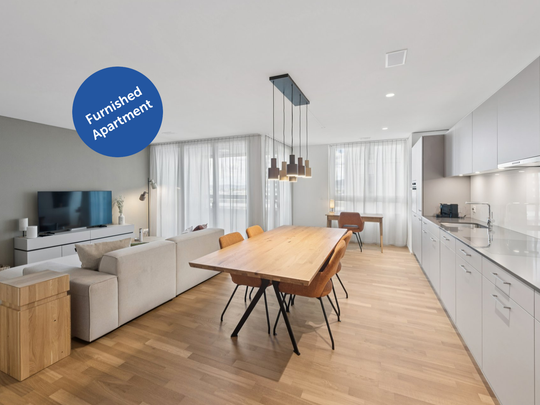 Möblierte Apartments mit Madrid Flair direkt im grössten Shoppingcenter der Schweiz! - Photo 1