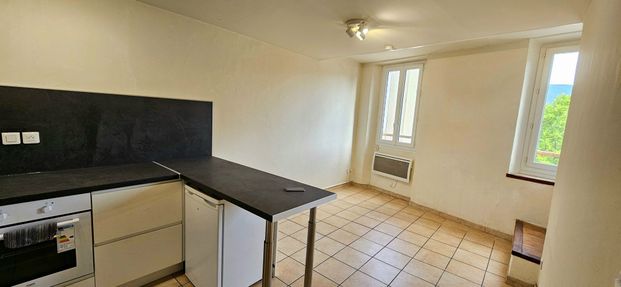 Location Appartement 1 pièce 18m² GONFARON 83590 - Photo 1
