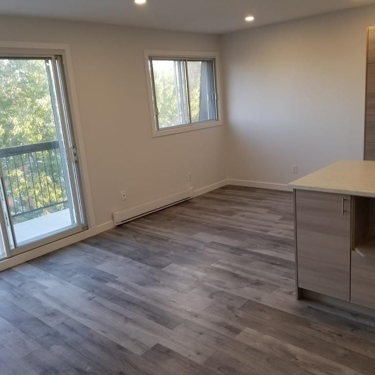 Nouveau 4 1/2 à louer Greenfield Park Longueuil Rive-Sud **1er juillet - Photo 1