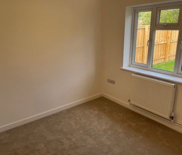 The Cottons - Photo 1