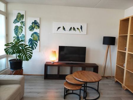 Omval, furnished beautiful 2 bedroom apt, view Amstel River - Foto 2