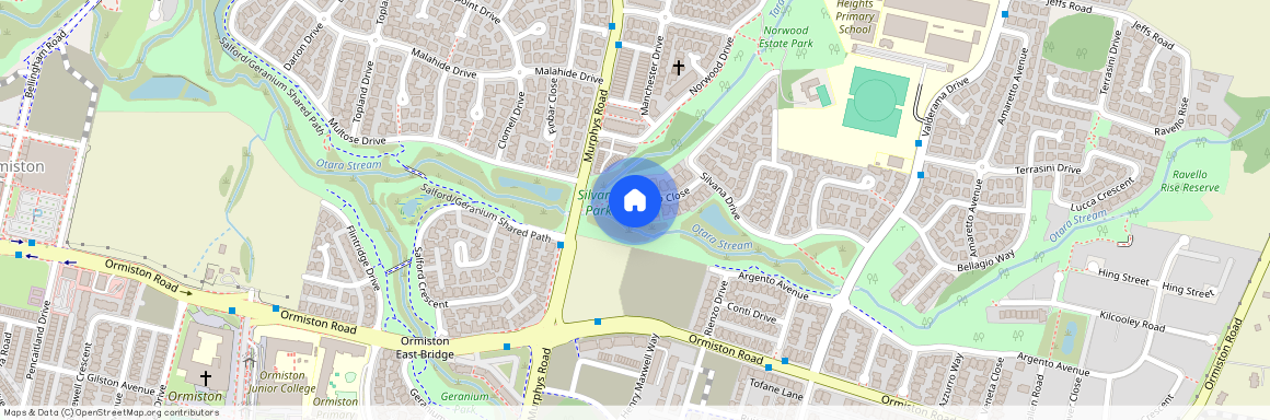 20 Aviano Close, Flat Bush, Manukau City