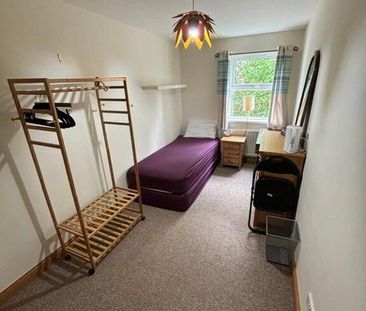 7 Albion Court, Comber, BT23 5EA - Photo 4