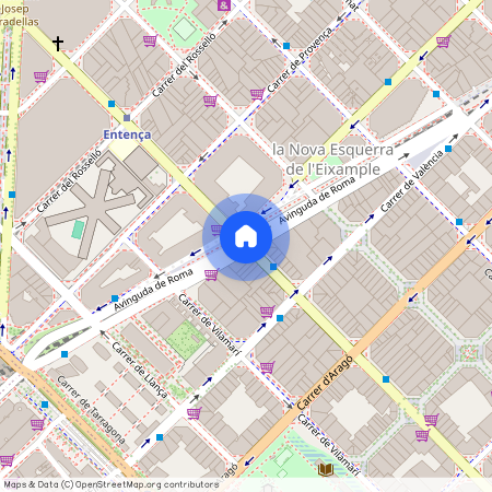 Avinguda de Roma, Barcelona, Catalonia 08015