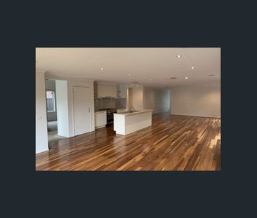 Spacious, Light-Filled and Perfectly Positioned! APPLICATIONS NOW OPEN - Photo 1