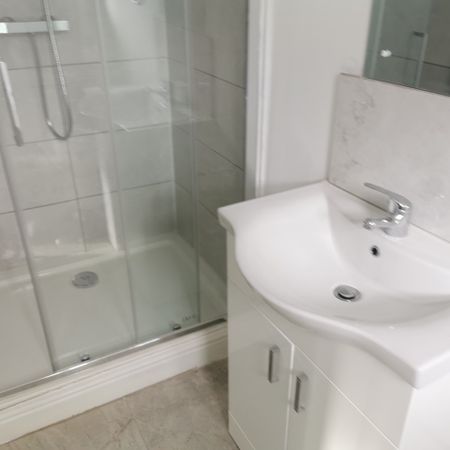 Studio Flat, Edgbaston, B16 - Photo 4