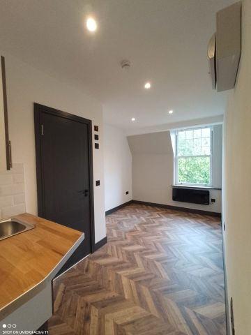 Studio Flat, The Boulevard, SW17 - Photo 4