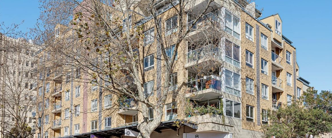 36/185 Campbell Street, Surry Hills NSW 2010 - Apartment For Rent | Domain - Photo 1