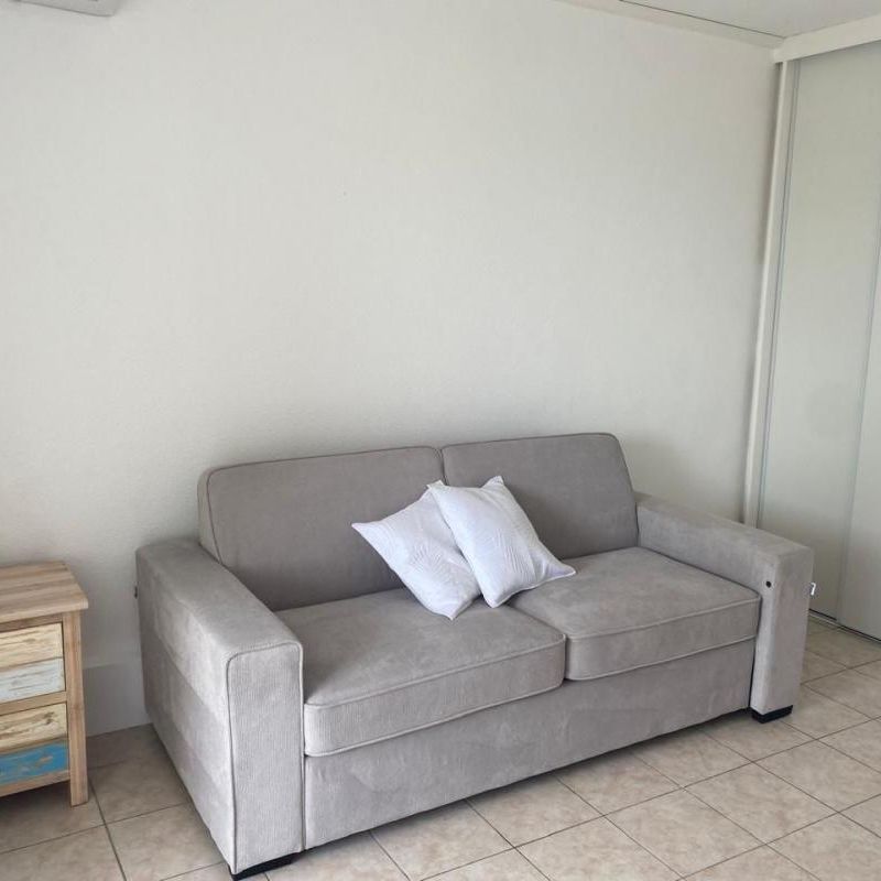 Location Appartement 1 pièce Meublé 19m² LES ABYMES 97139 - Photo 1